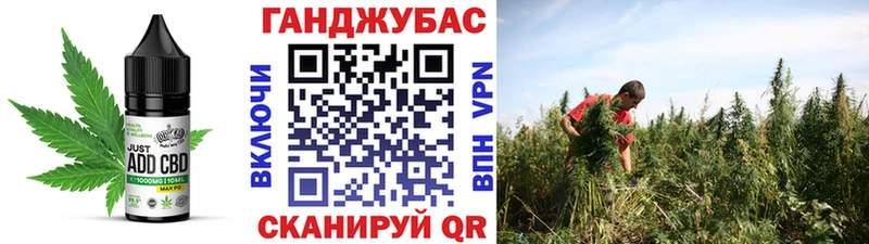 Купить закладки  Гвардейск  Еда ТГК марихуана 