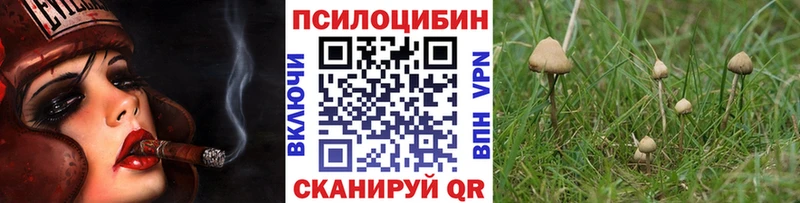 Псилоцибиновые грибы мухоморы Гвардейск