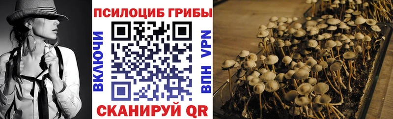 Псилоцибиновые грибы Magic Shrooms  Купить  Гвардейск 